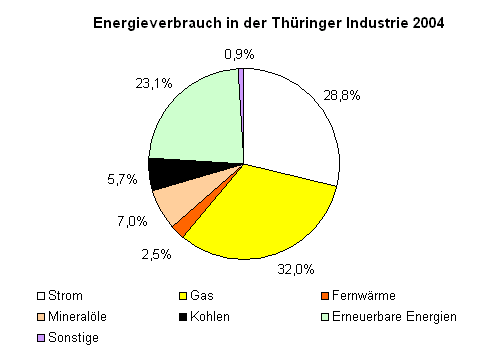 Energieverbrauch in der Thüringer Industrie 2004