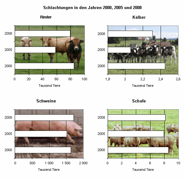 Schlachtungen in den Jahren 2000, 2005 und 2008