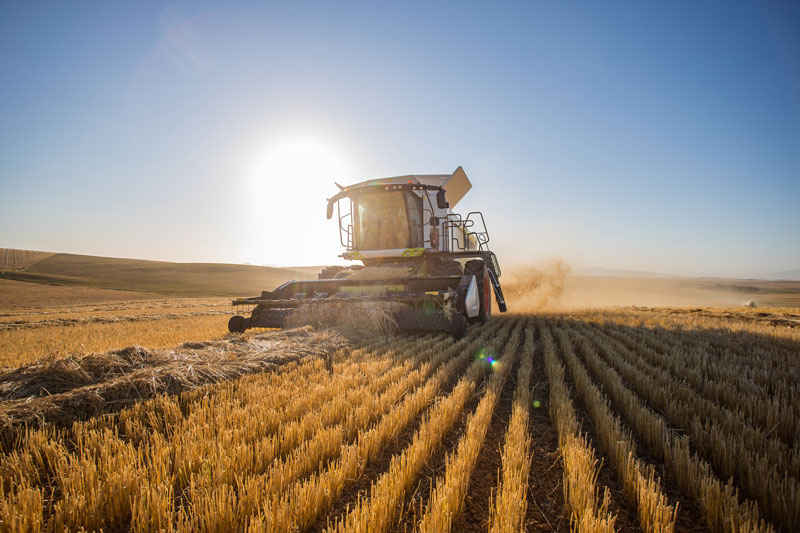 Aufsatz „Agrarstrukturerhebung 2023  
kologischer Landbau, Eigentums- und Pachtverhltnisse, Arbeitskrfte“ im PDF-Format öffnen