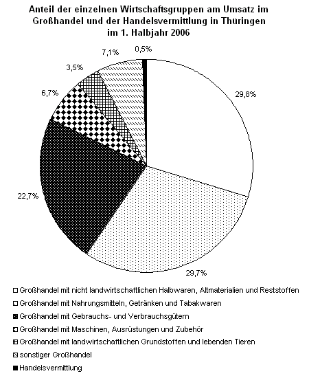 Anteil der einzelnen Wirtschaftsgruppen am Umsatz im Großhandel und der Handelsvermittlung in Thüringen im 1. Halbjahr 2006
