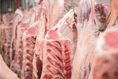 zur Pressemitteilung 103 vom 17. Mai 2024: „Schlachtungen und Fleischerzeugung im 1. Quartal 2024 “ im PDF-Format