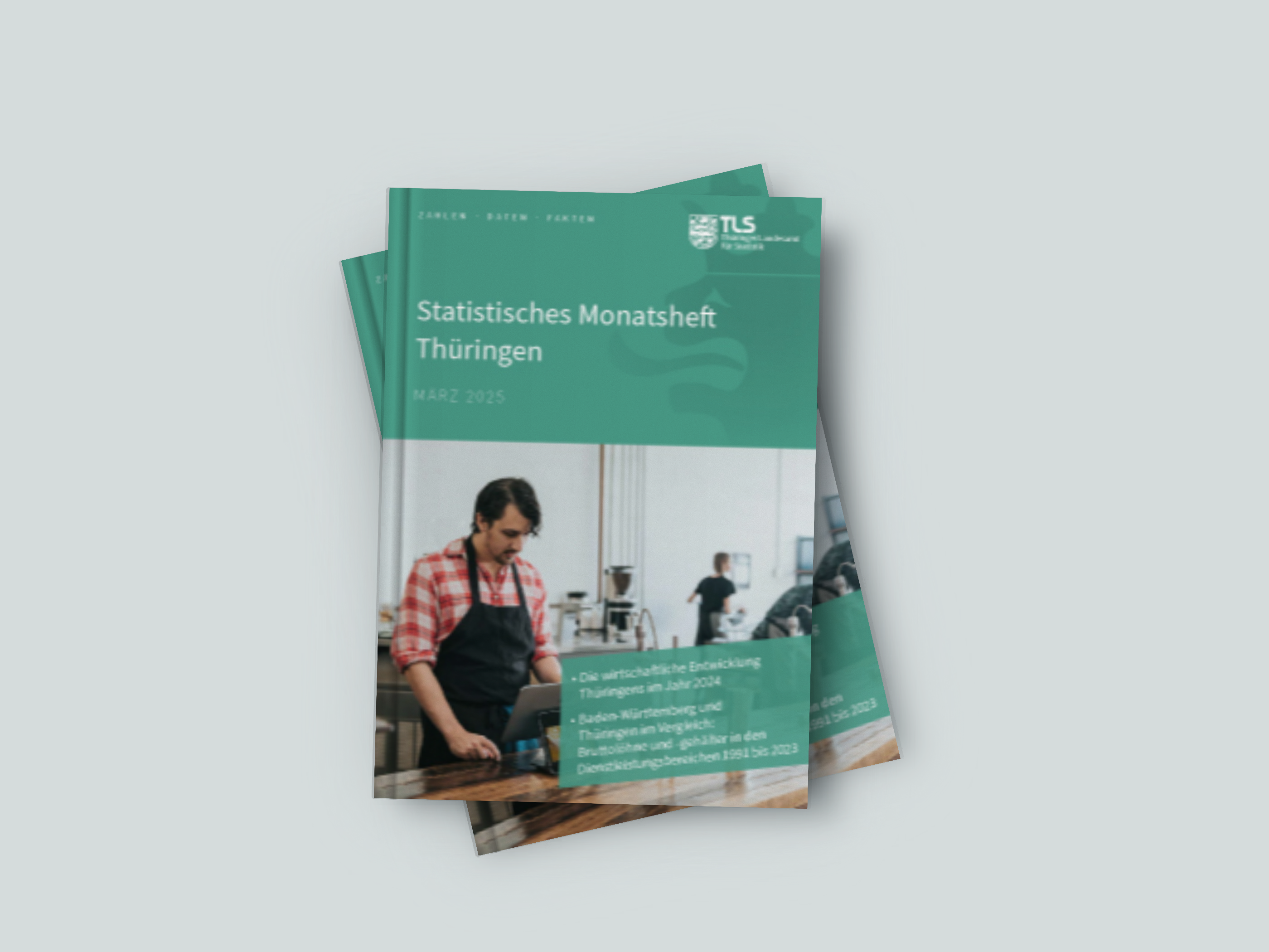 zur Pressemitteilung 115 vom 13. Mai 2025: „Statistisches Monatsheft März 2025 veröffentlicht <br><thin>Wirtschaftliche Entwicklung 2024 und Bruttolöhne und -gehälter in den Dienstleistungsbereichen im Fokus</thin>“ im PDF-Format