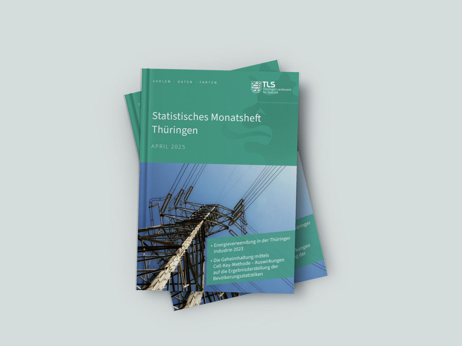 zur Pressemitteilung 140 vom 11. Juni 2025: „Statistisches Monatsheft April 2025 verffentlicht <br><thin>Energieverwendung in der Thringer Industrie 2023 und Geheimhaltung mittels Cell-Key-Methode im Fokus</thin>“ im PDF-Format