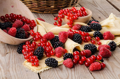 zur Pressemitteilung 024 vom 2. Februar 2026: &bdquo;Th�ringer Strauchbeerenfl�che erneut r�ckl�ufig&ldquo; im PDF-Format