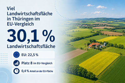 zur Pressemitteilung 107 vom 8. Mai 2026: &bdquo;Viel Landwirtschaftsfl�che in Th�ringen im EU-Vergleich<br><thin>Zum Europatag am 9.&nbsp;Mai&nbsp;2026</thin>&ldquo; im PDF-Format
