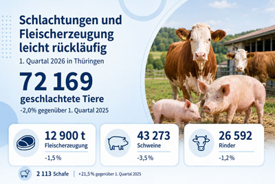 zur Pressemitteilung 128 vom 29. Mai 2026: &bdquo;Schlachtungen und Fleischerzeugung im 1.&nbsp;Quartal&nbsp;2026 leicht r�ckl�ufig &ldquo; im PDF-Format