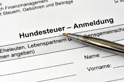 zur Pressemitteilung 251 vom 8. Oktober 2026: &bdquo;Th�ringer Gemeinden nehmen im Jahr&nbsp;2025 fast 9,4&nbsp;Millionen&nbsp;Euro Hundesteuer ein&ldquo; im PDF-Format